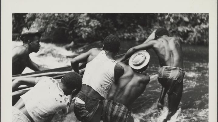 A group of surinamese Maroon men pulling a boat acroos a wild river